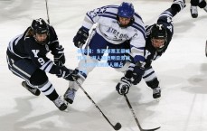 体彩网：东西部票王巅峰对决，湖人雄鹿明日激战，ESPN预测湖人稍占上风